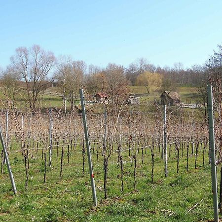 Ferienwohnungen Hog , Ringsheim Kültér fotó
