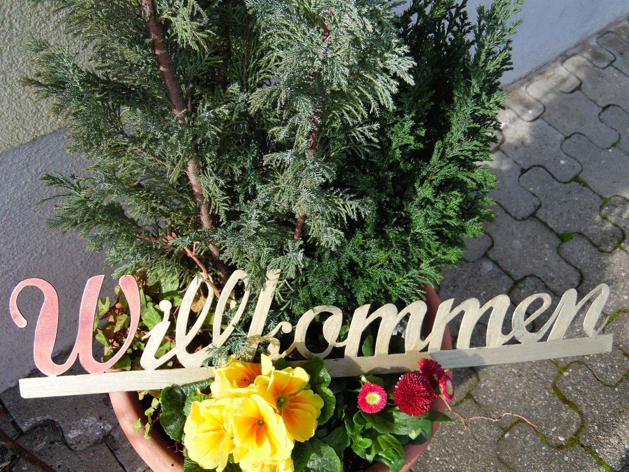 Ferienwohnungen Hog , Ringsheim Kültér fotó
