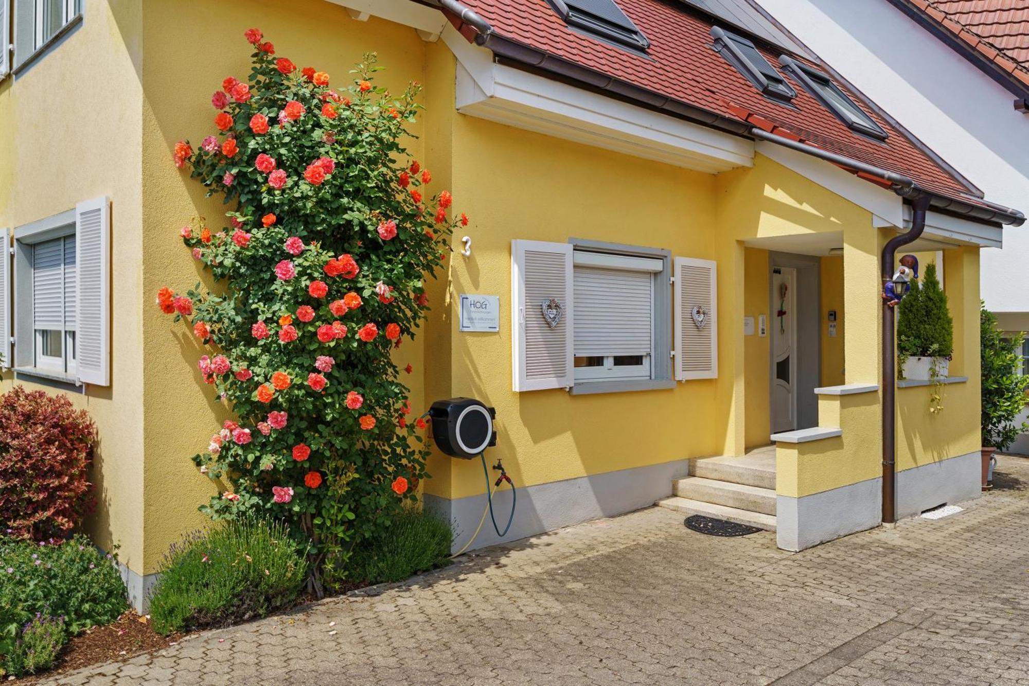 Ferienwohnungen Hog , Ringsheim Kültér fotó
